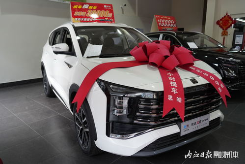 內(nèi)江第三十三屆汽車文化周盛大啟幕，內(nèi)江市宇良汽車銷售攜江淮、思皓等實(shí)力車型驚艷亮相